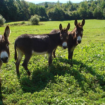 L'Oree Des Bois Dommartin-Les-Cuiseaux Zewnętrze zdjęcie