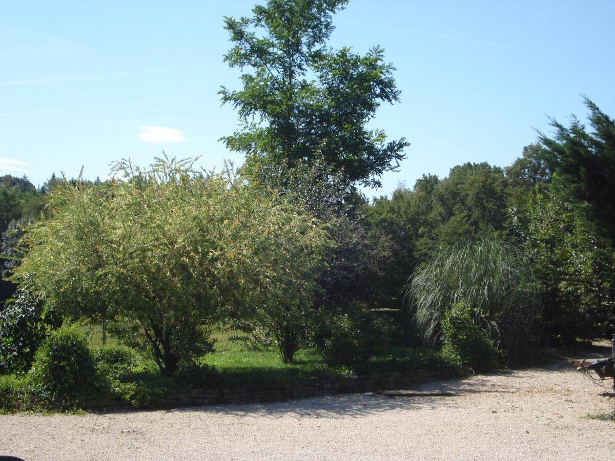 L'Oree Des Bois Dommartin-Les-Cuiseaux Zewnętrze zdjęcie